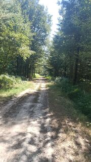 Foto von bidure70 Mitche entlang der Tour