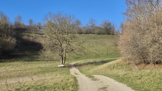 Fotografija s spletne strani Heisi na poti