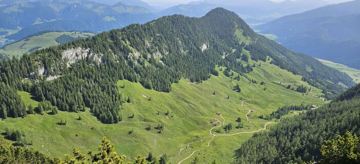 Foto da garrincha lungo il tour