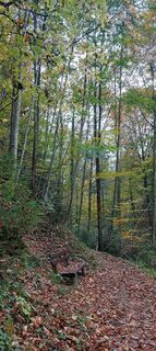 Foto de Hans Klamer a lo largo del recorrido