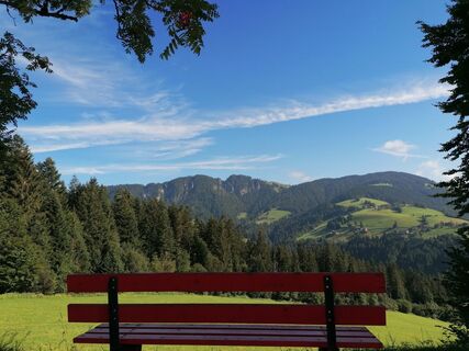 Wildschönau Kragen Ba nkerl