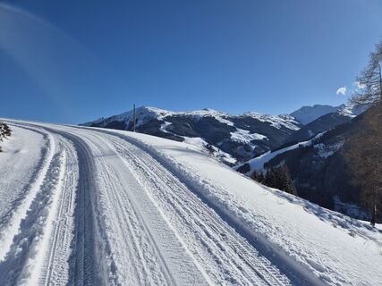 Foto von Katrin entlang der Tour