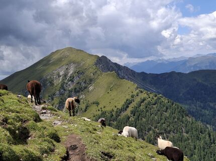 Foto von Johanna Amlacher entlang der Tour
