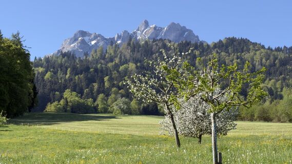 Photo de Peter Burki le long du parcours