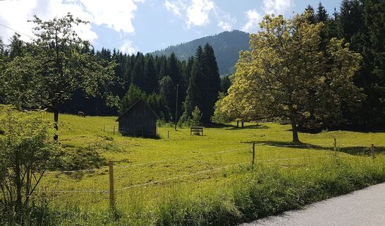 4.7 km Auffahrtsweg