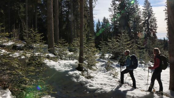 Schneeschuhwanderung zum Teufelstein