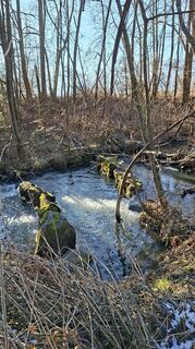 Fotografie z Mangolein na trase