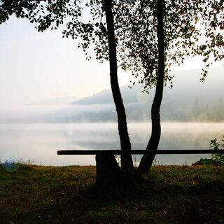 Morgenlicht am Titisee
