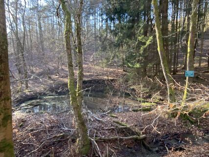 Photo de Arthur Muskalla le long du parcours