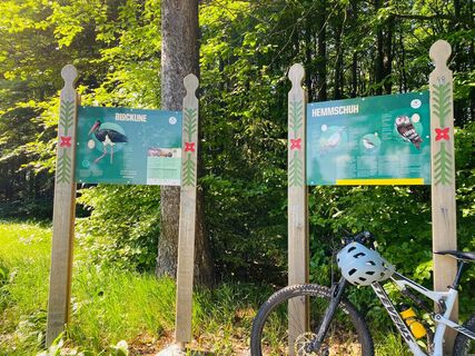 Blockline - Infotafeln