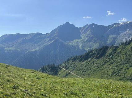 Fotografija s spletne strani Vincent Swart na poti