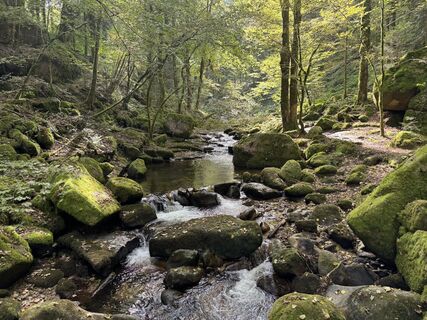 Fotografija s spletne strani Adnan Cemal na poti