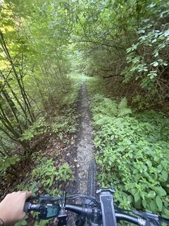 Fotografie de la Alexander König 09 de-a lungul turului