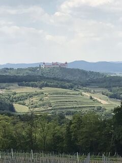 Foto von Maxspeed entlang der Tour