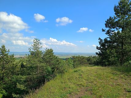Photo de Rene Mrakava le long du parcours