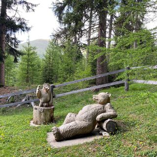 Waldlehrpfad