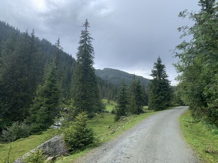 Fotó a Koen De Wit honlapról a túra során