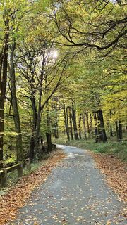 Fotografia z Gyula Gerecs na trase