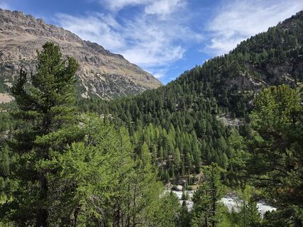 Photo de reburk le long du parcours
