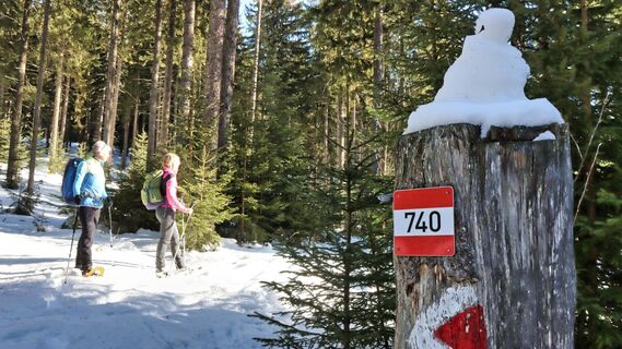 Markierung Wanderung zum Teufelstein
