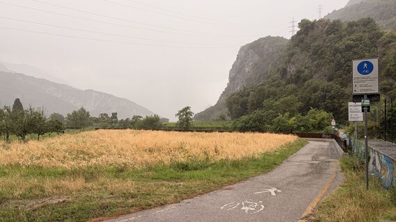 Photo de Felix Kargl le long du parcours
