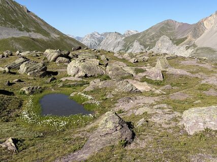 Photo de Nikki Baer le long du parcours