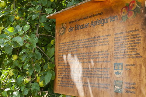 Hinweistafel im Binauer Apfelgarten