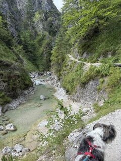 Foto von Michaela Hauptmann entlang der Tour