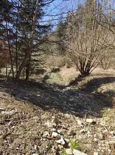 Fotografia z stuebi na trase