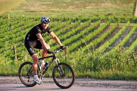Radeln durchs Weinviertel