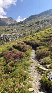 Photo de Sabrina Ortner le long du parcours