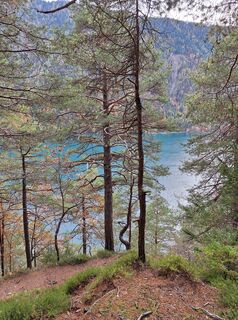 Foto von Dagmar Hofer entlang der Tour