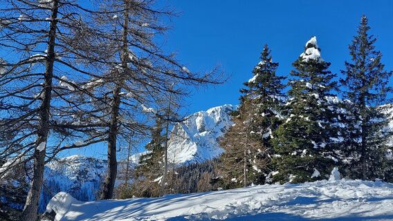 Fotografia z Matthias Maier na trase