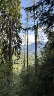 Foto von Horst-Dieter Lutz entlang der Tour