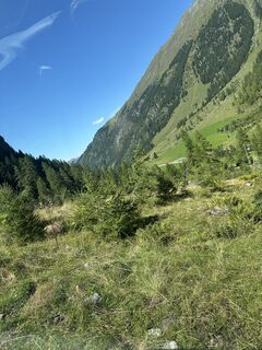 Foto de Harry a lo largo del recorrido