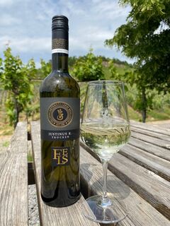 Wein Felsengartenkellerei Besigheim