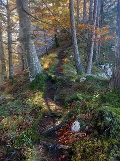 Photo de Christian Priller le long du parcours