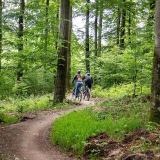 Green Trails Willingen (16).jpg