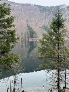 Fotografija s spletne strani Julia Wimmer 4 na poti