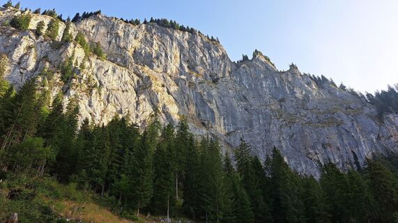 Photo de Anna Wilding le long du parcours