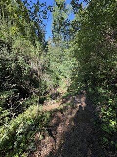 Fotografija s spletne strani Reinhard Frewein na poti