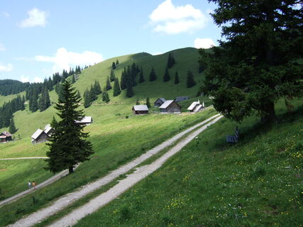 Zemljevid