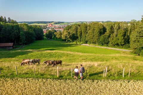 Aussicht am Konohof auf Ottobeuren