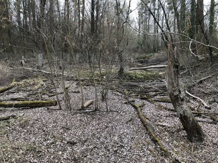 Foto von Thomas Bauer entlang der Tour