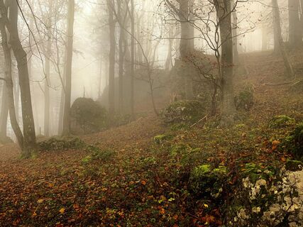 Photo de Leo Fahrngruber le long du parcours