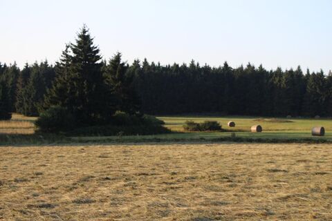 Struthwiese am Hohen Meißner