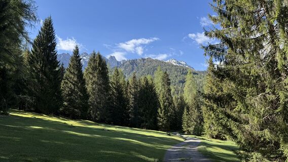 Foto de Torsten Scholz a lo largo del recorrido