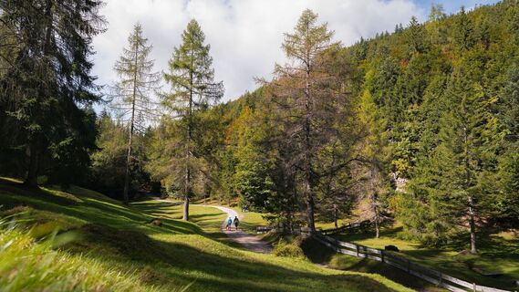 Zemljevid