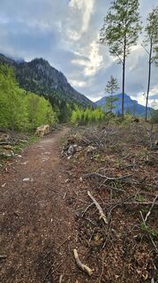 Foto von Gerald Brandstätter entlang der Tour