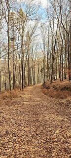 Fotografija s spletne strani Huba Csicsics na poti